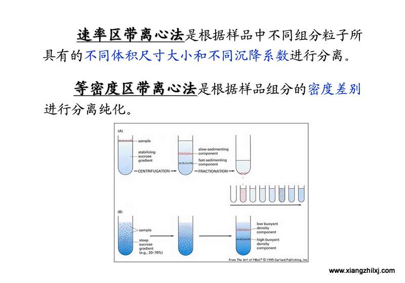 離心機(jī)知識圖解大全