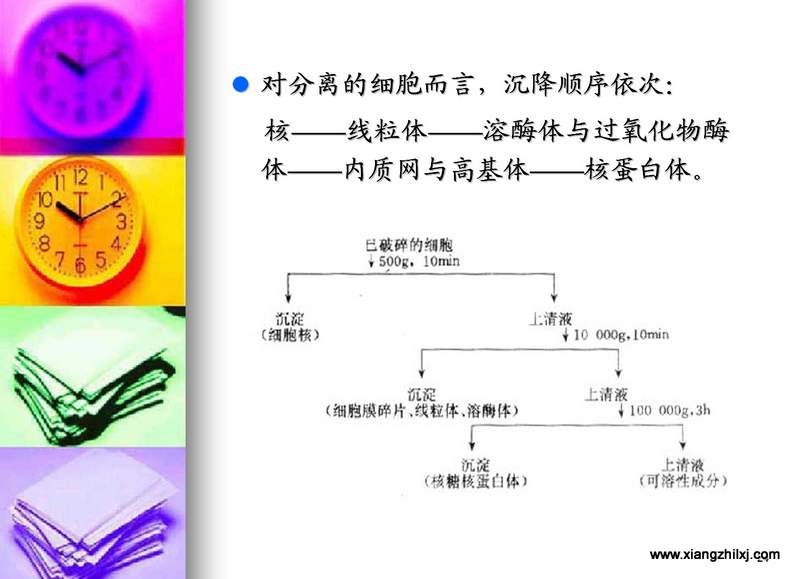 離心機(jī)知識圖解大全